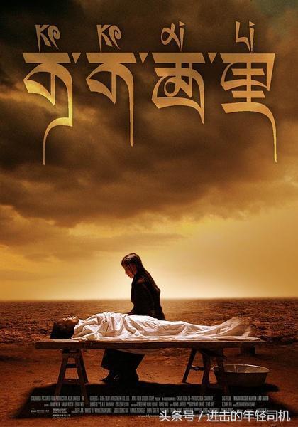 推荐十部关于人与动物的电影,值得一看的动物题材电影