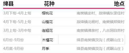 运城美食野菜,运城田间美食推荐