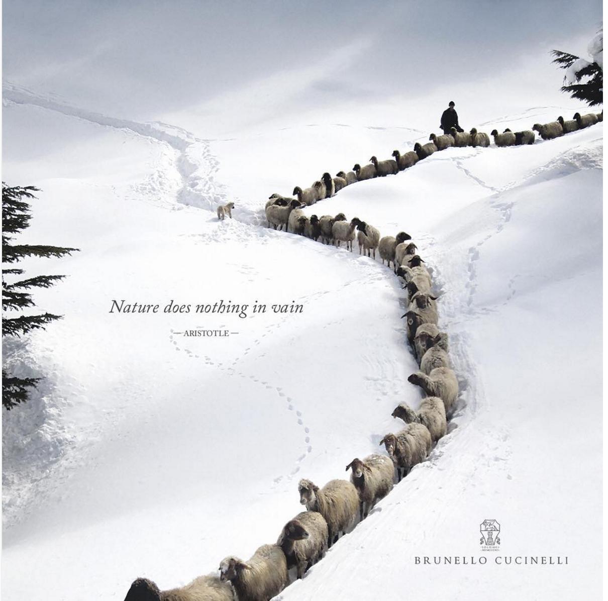 必买的十个系列,必买的品牌经典款