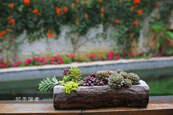 居于涟岸隐于湖，到肇庆体验离尘不离城的精致慢生活