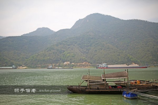 居于涟岸隐于湖,到肇庆体验离尘不离城的精致慢生活