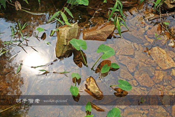 居于涟岸隐于湖,到肇庆体验离尘不离城的精致慢生活