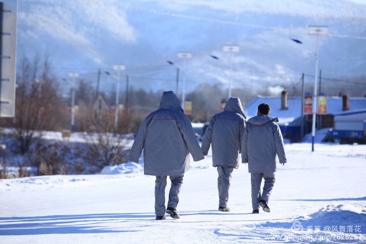 白狐千年等待只为今生相遇,白狼一生只爱一人
