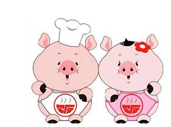 生肖属猪运势指南详解图,生肖属猪运势指南图