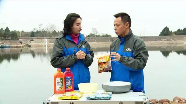 春季野钓鲫鱼红虫颗粒打窝好吗,菜籽饼打窝钓鲫鱼多长时间有效