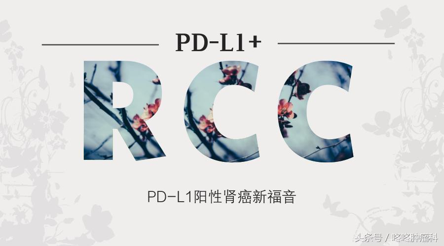 pd-1联合贝伐珠单抗,pdl1贝伐珠单抗治疗肝癌