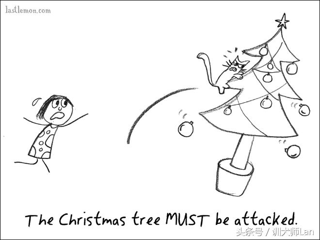 模拟猫咪攻略,驯服猫咪攻略