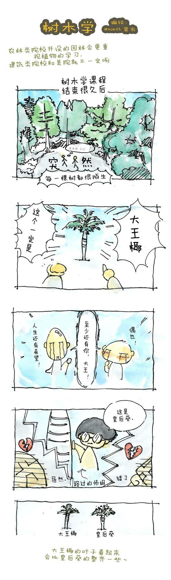 读园林设计就业前景怎样,读园林绿化学什么