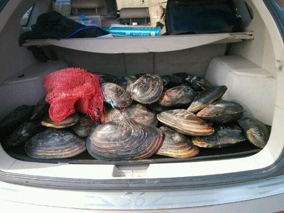 钓鱼又空军了,钓鱼钓了一天又空军了