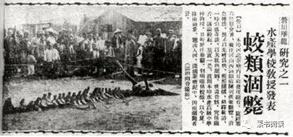 龙是不是一种气体生物,龙是否一种原始的两栖动物