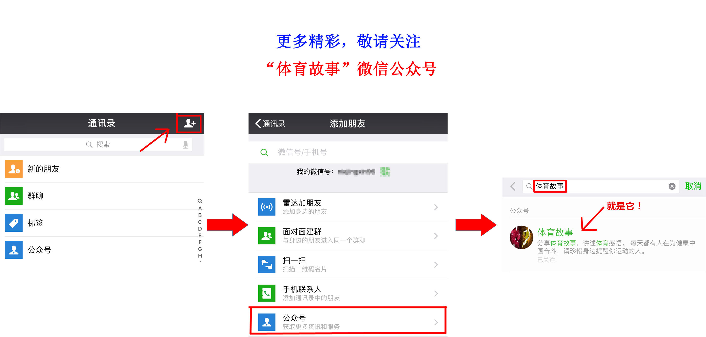 诺坎普不相信眼泪,诺坎普欢呼雀跃