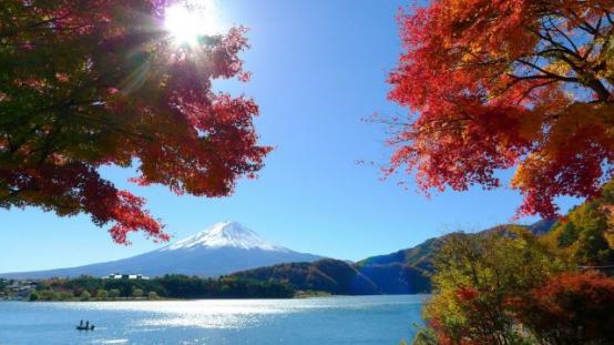 日本isdg酵素和姿美堂酵素哪个好,2022年日本最畅销酵素