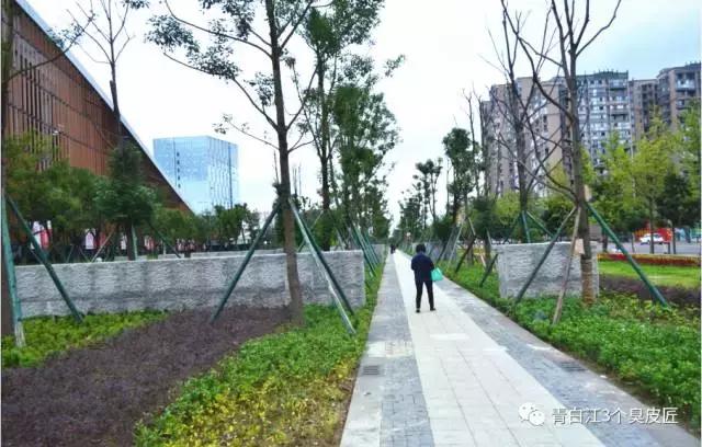 3个臭皮匠肉身亲测青白江文体中心，限时免费！约吗？