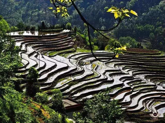 四峨梯田徒步,成都九月四姑娘山徒步一日游