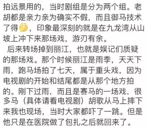 胡歌拍繁花为什么用替身,胡歌替身事件