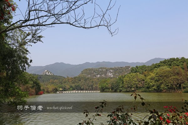 居于涟岸隐于湖，到肇庆体验离尘不离城的精致慢生活