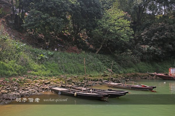 居于涟岸隐于湖，到肇庆体验离尘不离城的精致慢生活