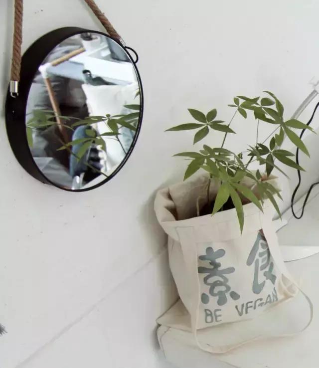 创意手工花盆旧物利用长方形,带把手茶壶旧物改造为花盆