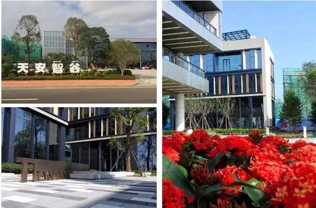 其实，你早就遇见：清远，离广州最近的一座城！