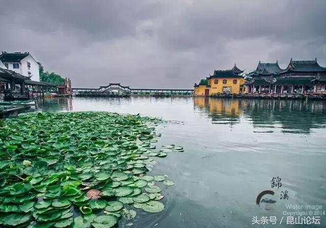 厉害了昆山陆家,厉害了江苏