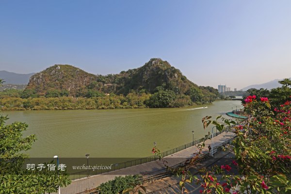 居于涟岸隐于湖，到肇庆体验离尘不离城的精致慢生活
