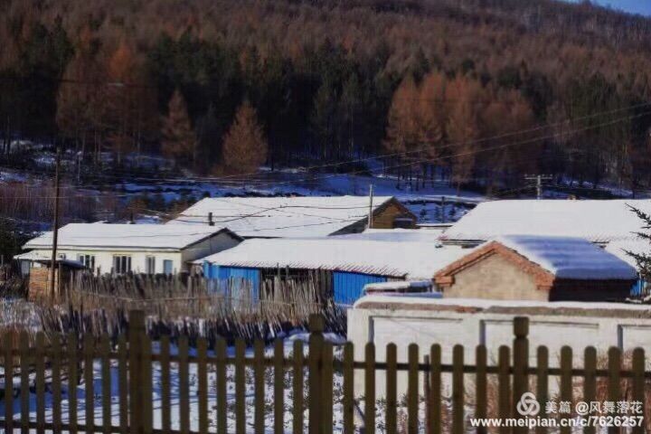 白狐千年等待只为今生相遇,白狼一生只爱一人