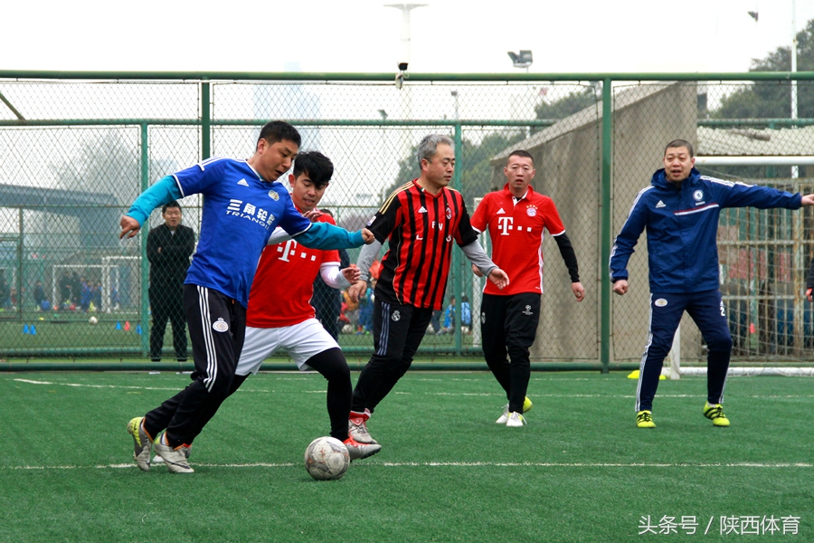 植树节手工种下一棵树留住一片绿,植树节推荐足球