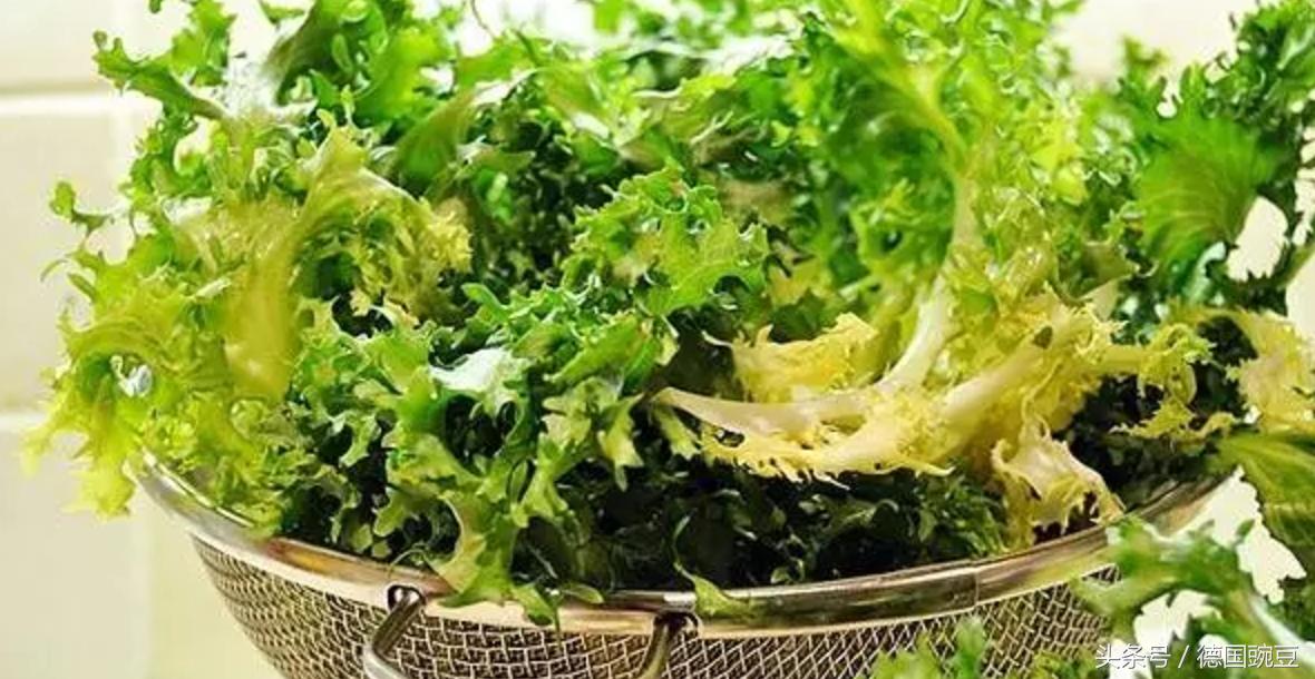 绿叶蔬菜菊苣,菊苣是一种很少见的蔬菜