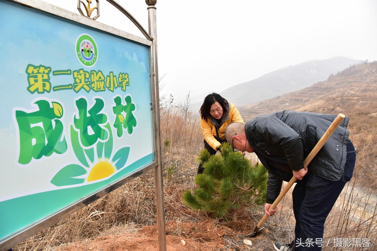 为什么让小学生上山植树造林，看完老师写的图文就明白