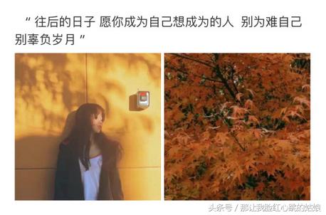 下次见你谈笑风生不动情意思,下次见你谈笑风生不动情小说