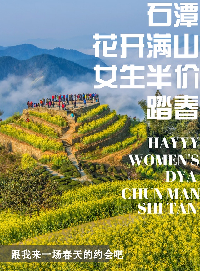 杭州的浪漫玫瑰花,杭州浪漫玫瑰花