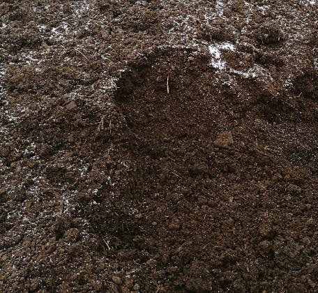 猪粪过多的土地怎么办,猪粪露天堆放的危害到底有多大