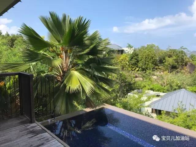 塞舌尔游记,塞舌尔埃及