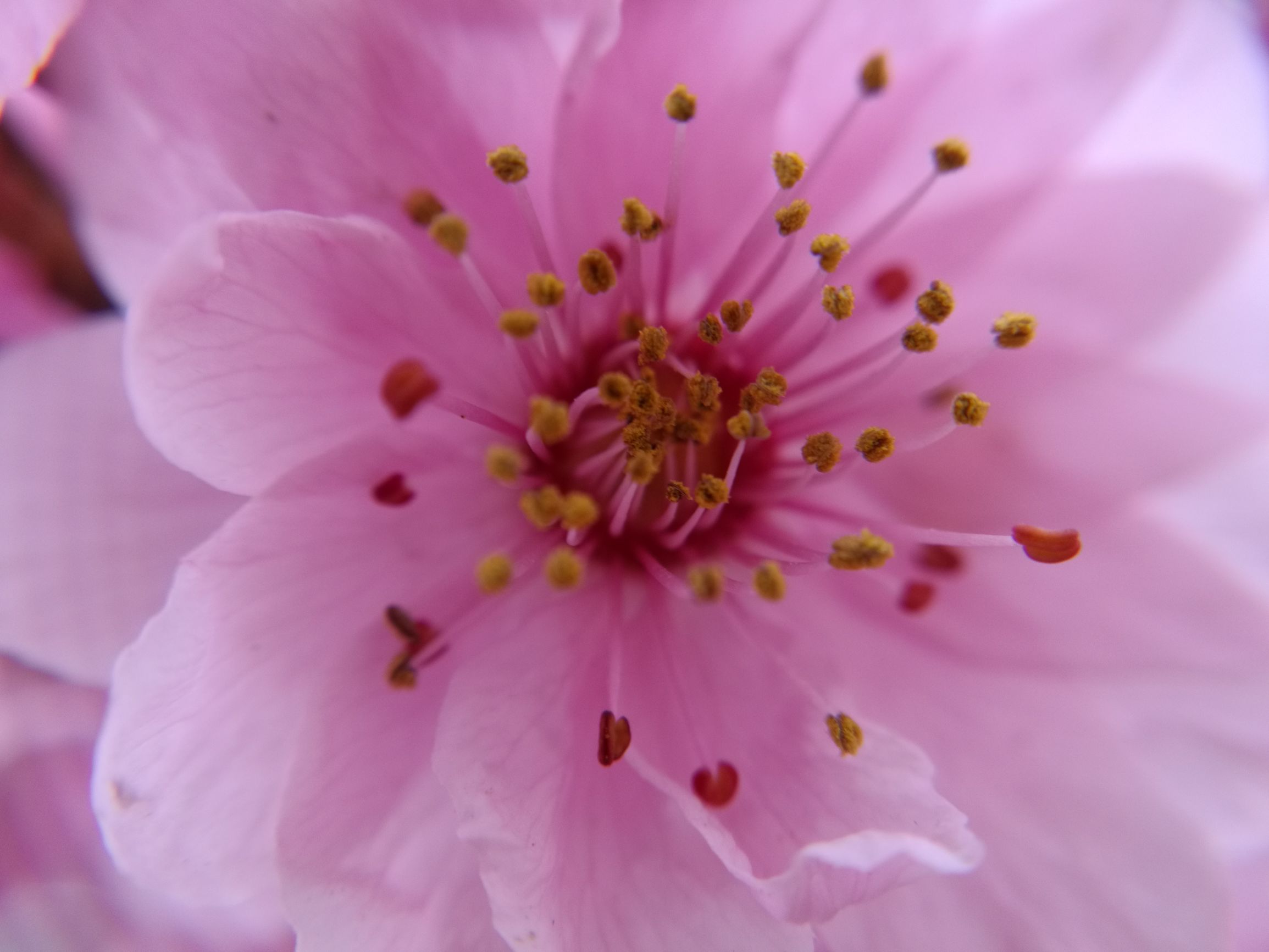 第三天，错过宿营地！「千里走单骑X2」零经验骑行者的日记！