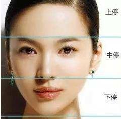 面相命运与风水讲座,风水猫养哪种最好