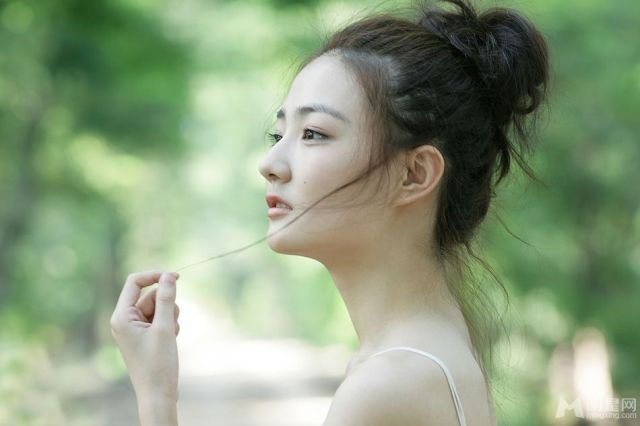 面相命运与风水讲座,风水猫养哪种最好