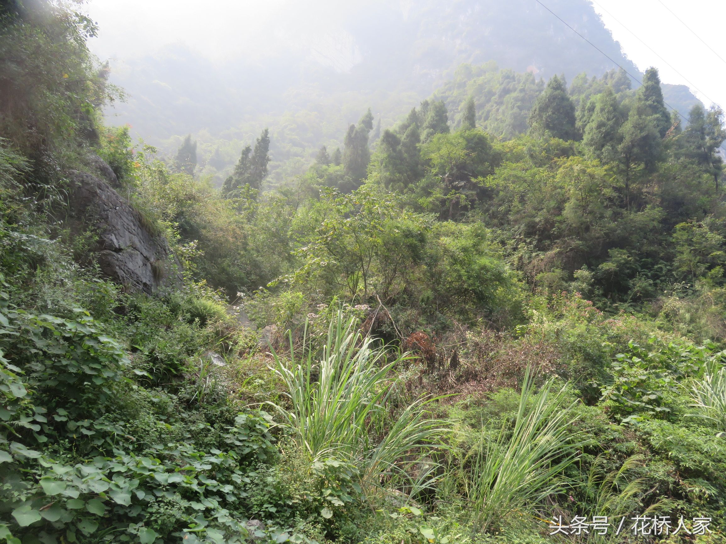 石柱花桥风景区,秭归县石柱村花桥