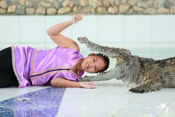 驻泰领事,泰国春节自由行