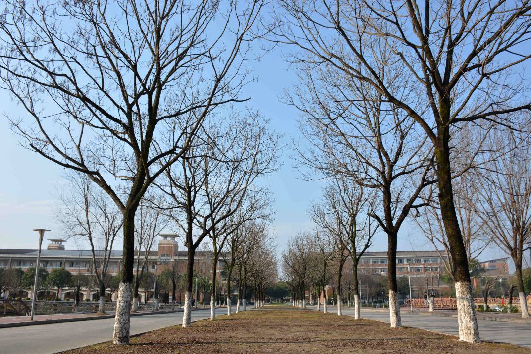 福师大版诗词大会|长安辞赋星雨谣,仓旗才俊巧成章