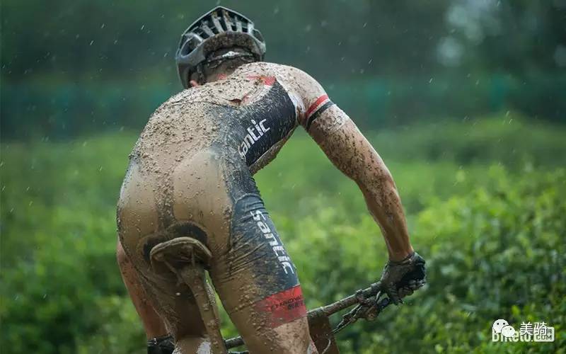 老鸟入门教程视频,分享新手选车攻略