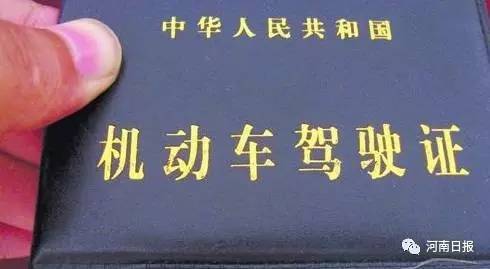 2017最新郑州通讯录+办事指南！人手一份，一定用得上！