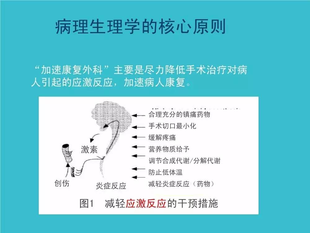 「袁媛专栏」ERAS应用与实践中的营养支持路径