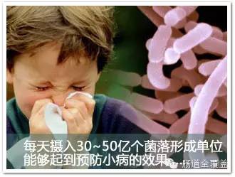 益生菌粉吃多久才能改善胃肠道,改善肠道功能的益生菌