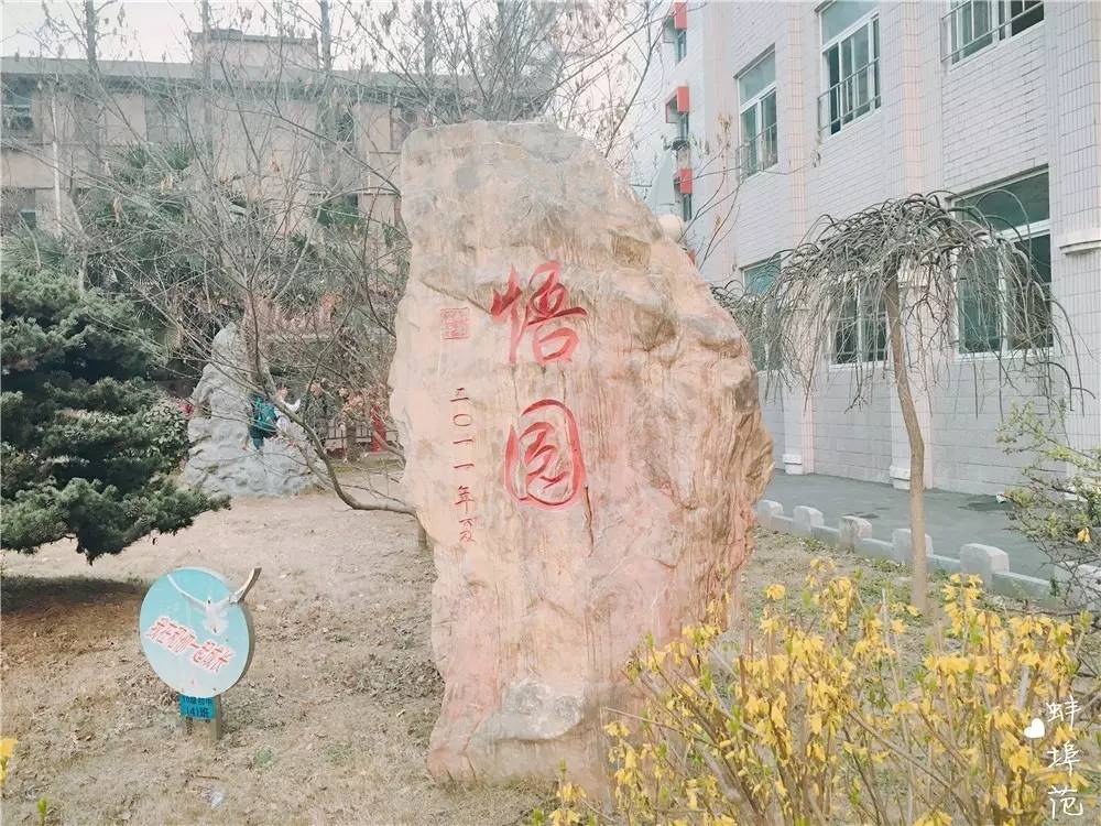 穿上校服，再去蚌埠这所学校走一遍，满满的回忆……