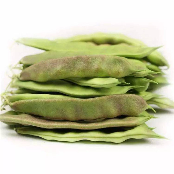 喝了假沸的豆浆会致死吗,未完全煮沸的豆浆会中毒吗