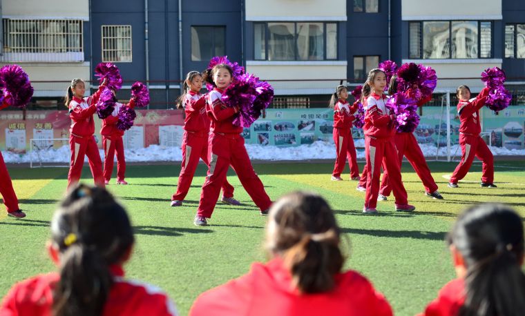 我国校园足球的发展现状与趋势,校园足球在哪一年上升为国家战略