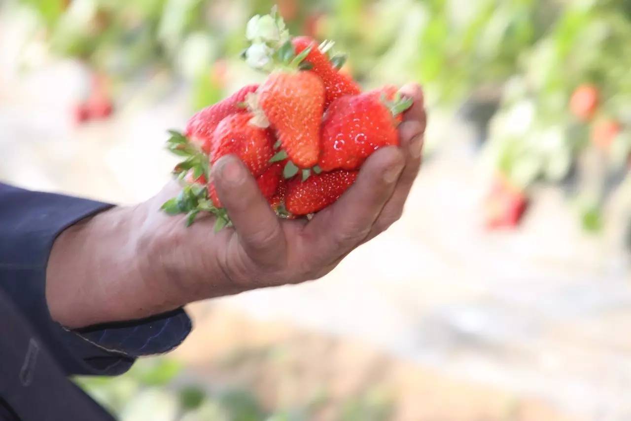 走基层贵在走心,走在乡村振兴的大路上