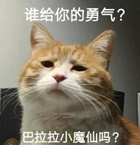 无印良品受到核废水影响了吗,无印良品核污染有效吗