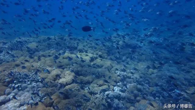 体验过你从未体验过的情感,体验你没体验过的人生