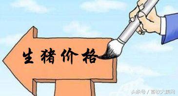 3月17日行情综评:鸡价再度大涨蛋价稳步小涨猪价仍需等待